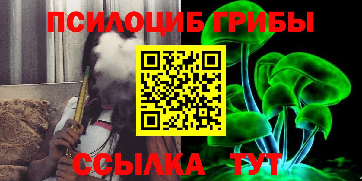 Псилоцибиновые грибы мицелий Александров