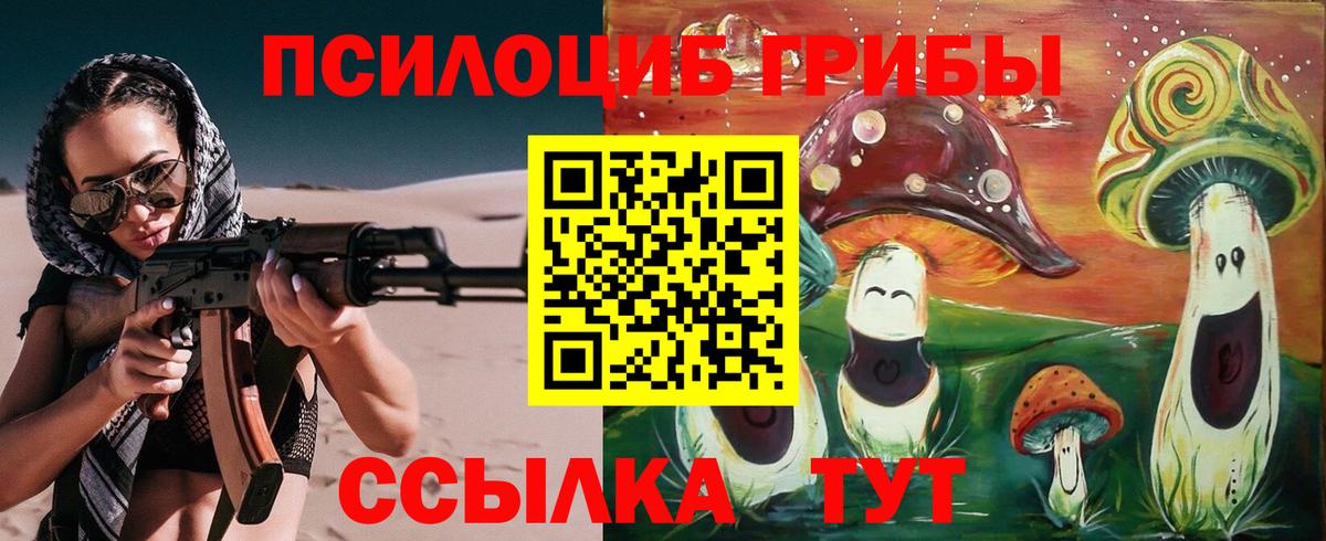 Галлюциногенные грибы Cubensis  Галлюциногенные грибы Magic Shrooms  Вход с VPN  Александров 